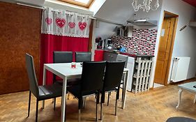 24 Grand Rue Charmant Appartement Au Centre De Munster